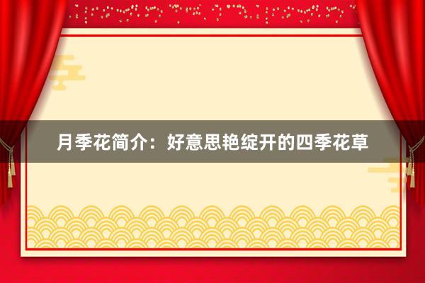 月季花简介:好意思艳绽开的四季花草
